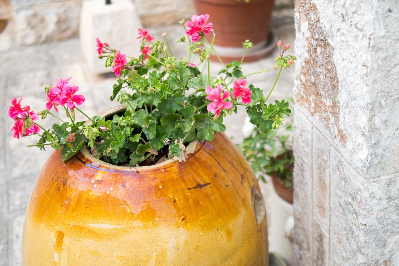 Bed and Breakfast Giardino Segreto Putignano Exterior foto