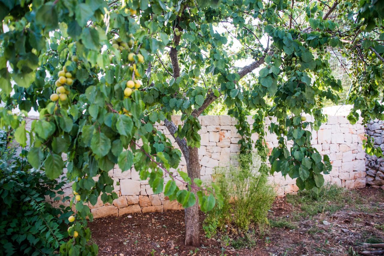 Bed and Breakfast Giardino Segreto Putignano Exterior foto