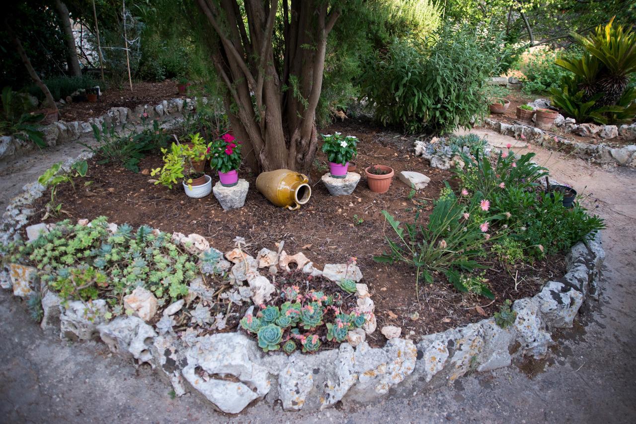Bed and Breakfast Giardino Segreto Putignano Exterior foto